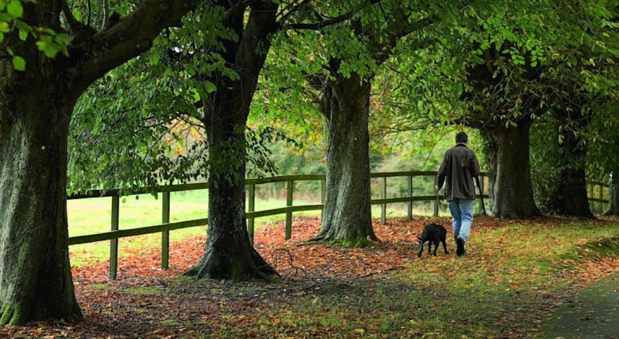 Waterford Castle Hotel & Golf Resort Ballinakill  Exteriör bild