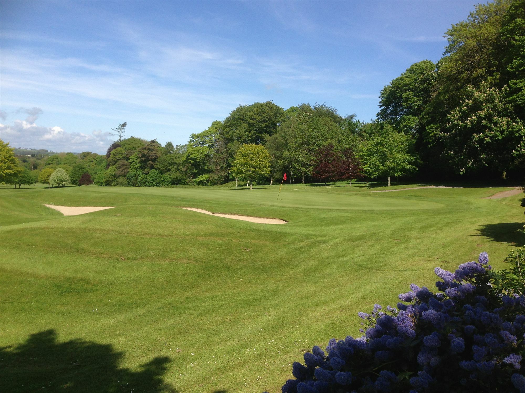 Waterford Castle Hotel & Golf Resort Ballinakill  Exteriör bild